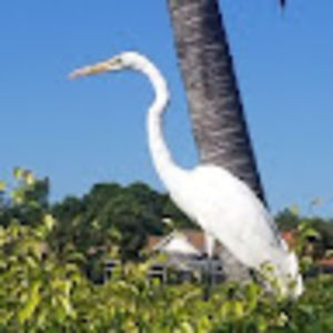 Meet your Posher, Illona